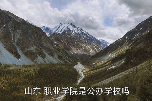 山东 职业学院是公办学校吗
