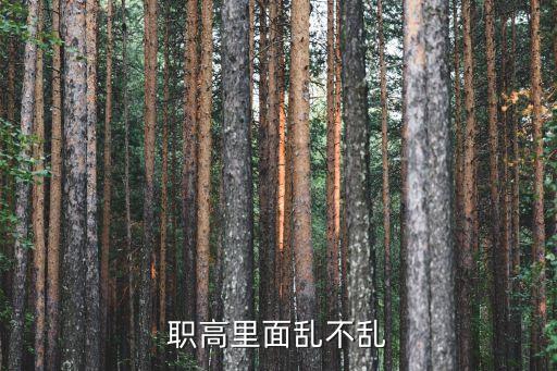职高里面乱不乱