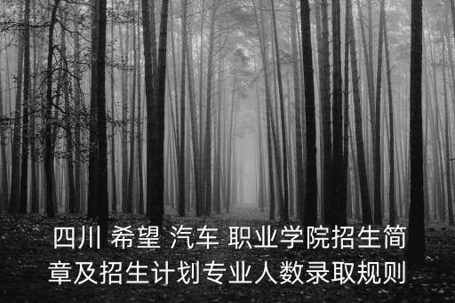 四川新希望汽车职业技术学校,大连开发区新希望职业技术学校