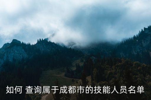 钳工职业资格证书全国联网查询,12333职业资格证书全国联网查询