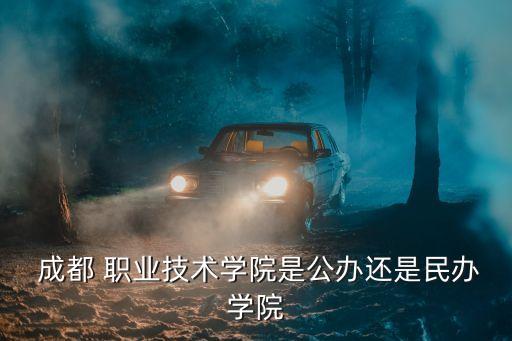  成都 职业技术学院是公办还是民办学院