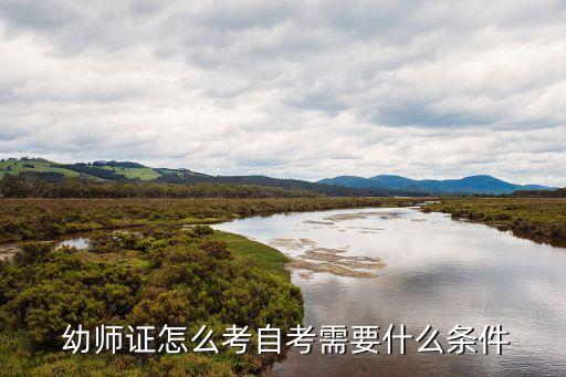 幼师获取职业资格证书计划表,电子商务职业资格证书计划表