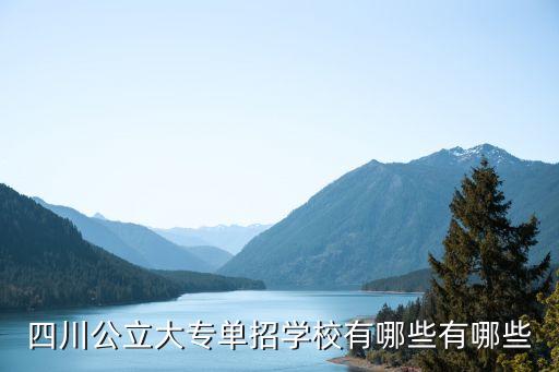 四川省职业教育网,安徽省职业与成人教育网