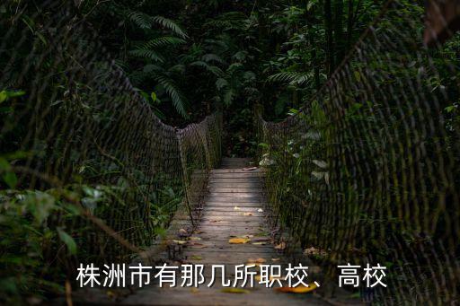  株洲市有那几所职校、高校