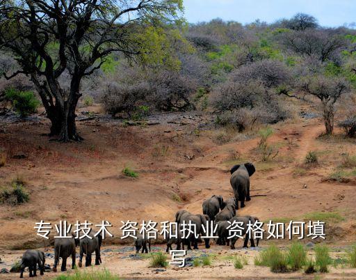 专业职称 职业资格,职称和职业资格证书有什么区别