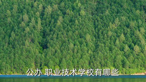 公办 职业技术学校有哪些