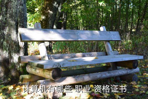  计算机有哪些 职业 资格证书