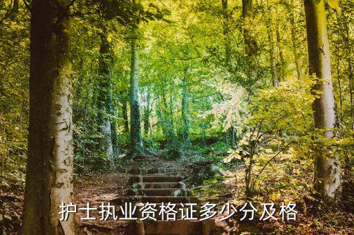  护士执业资格证多少分及格