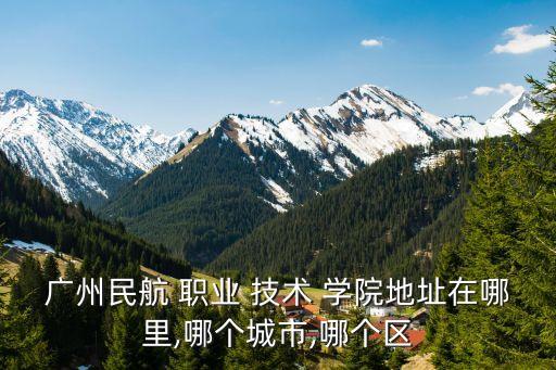 广州民航 职业 技术 学院地址在哪里,哪个城市,哪个区