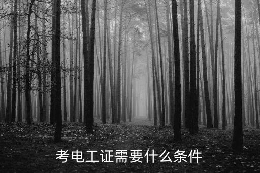 考电力职业资格证书,考什么职业资格证书比较实用