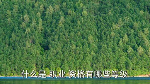什么是 职业 资格有哪些等级
