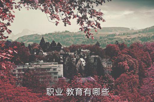  职业 教育有哪些