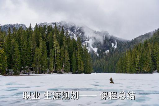 职业 生涯规划—— 课程总结