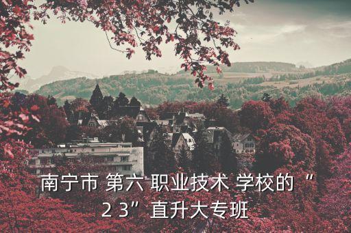  南宁市 第六 职业技术 学校的“2 3”直升大专班