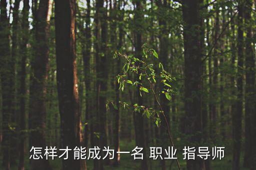 怎样才能成为一名 职业 指导师