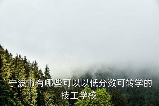  宁波市有哪些可以以低分数可转学的技工学校