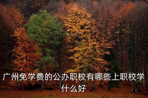 广州免学费的公办职校有哪些上职校学什么好