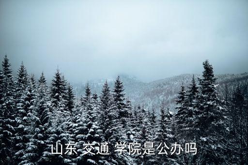 山东 交通 学院是公办吗