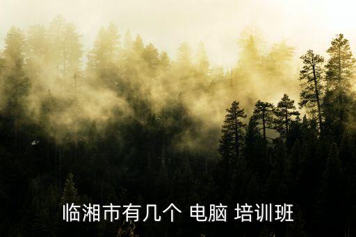 临湘市有几个 电脑 培训班