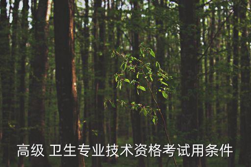 高级 卫生专业技术资格考试用条件