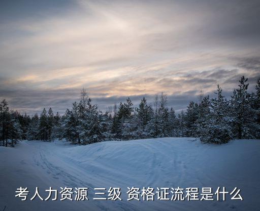 考人力资源 三级 资格证流程是什么