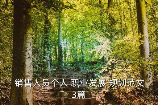  销售人员个人 职业发展 规划范文3篇