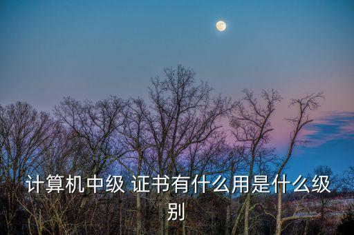  计算机中级 证书有什么用是什么级别