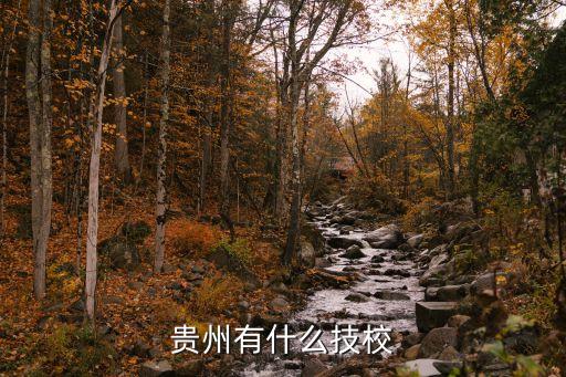 中华职业学校贵阳校区,贵阳中华职业学校是公办还是民办