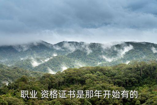 国家职业资格证是什么时候出来
