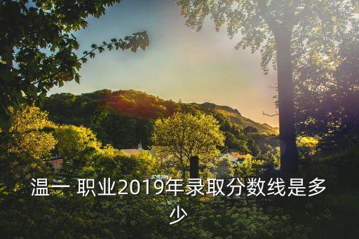 温一 职业2019年录取分数线是多少