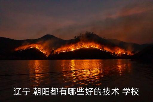 辽宁 朝阳都有哪些好的技术 学校