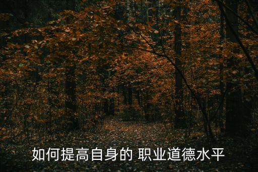 如何提高自身的 职业道德水平