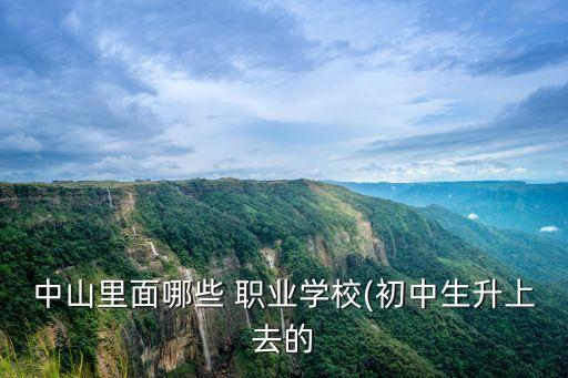 中山市职业技能培训机构一览表,上海徐汇区职业技能培训机构一览表
