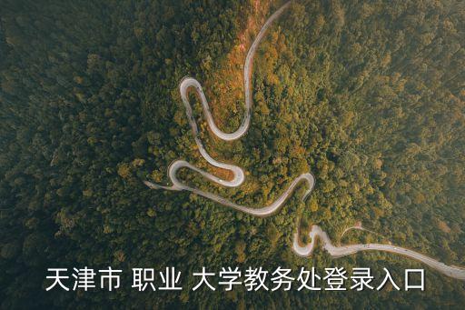 天津职业大学分数线2017