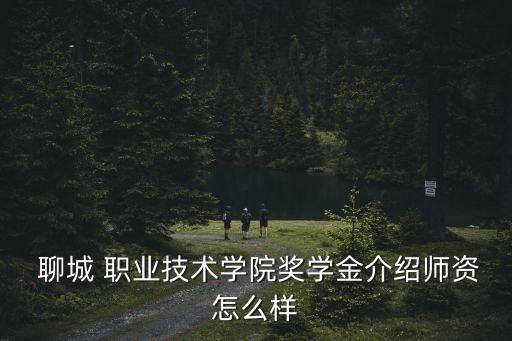  聊城 职业技术学院奖学金介绍师资怎么样