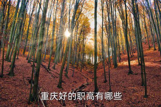  重庆好的职高有哪些