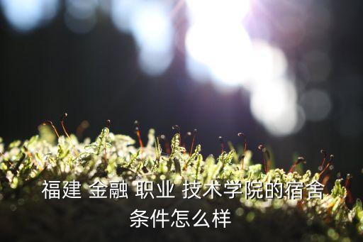 福建金融职业技术学
