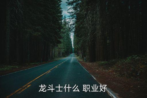 龙斗士什么 职业好