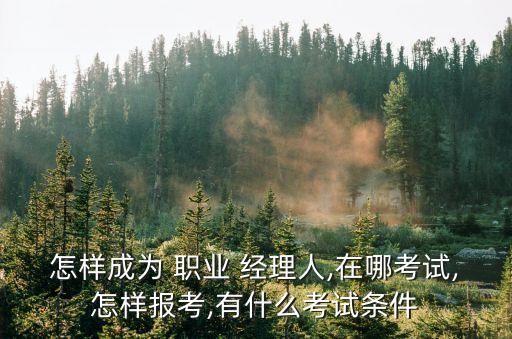 重庆哪里有职业经理人培训