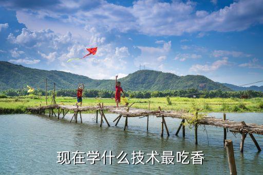 职业经理人十大技能,中国十大杰出职业经理人