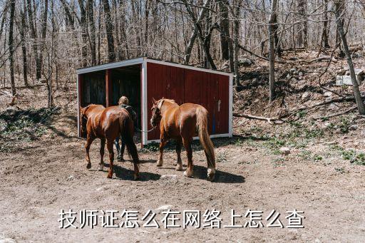 技师证怎么在网络上怎么查