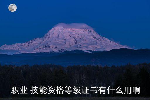  职业 技能资格等级证书有什么用啊