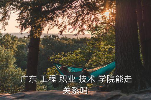  广东 工程 职业 技术 学院能走关系吗