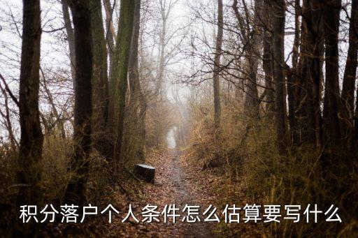  积分落户个人条件怎么估算要写什么