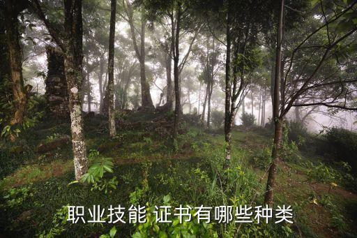  职业技能 证书有哪些种类
