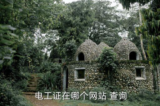 电工职业资格证查询 新闻,河南省高级电工职业资格证查询