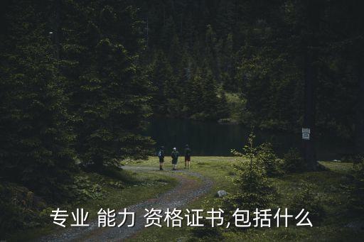 专业 能力 资格证书,包括什么