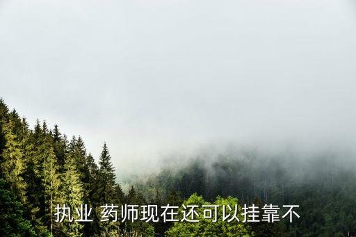 深圳可以租职业药师证吗,职业药师深圳的什么时候公布?