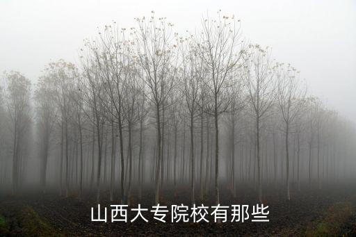  山西大专院校有那些