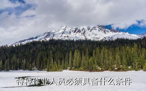  特种作业人员必须具备什么条件